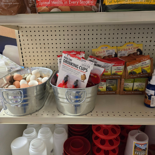 Chicken supplies inside of North Arkansas Farm Supply