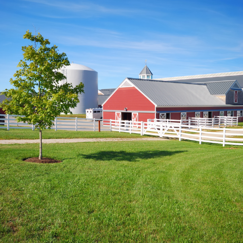 A farm on a clear day, surrounded by a white fence
