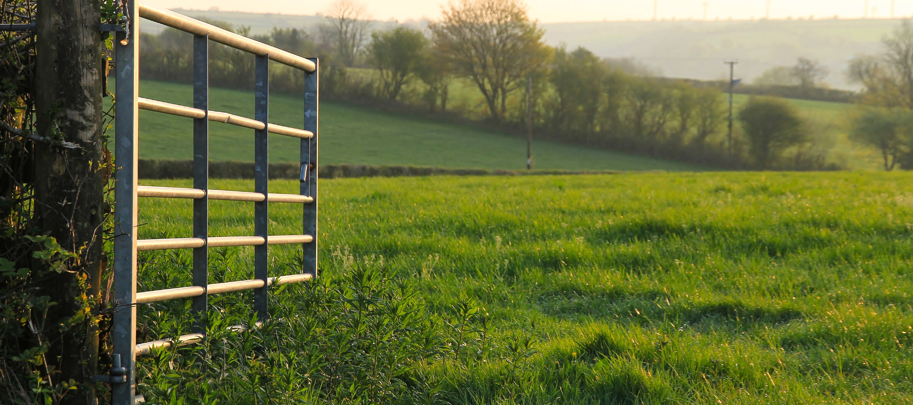 A farm gate opening up into a green pasture